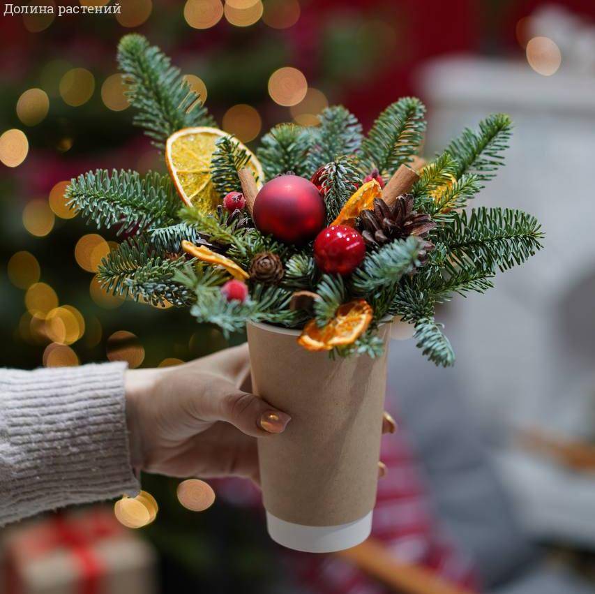 Композиция в стакане - Dolinasad.by