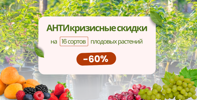 АНТИкризисные скидки -60% на плодовые растения! ЗАВЕРШЕНА.