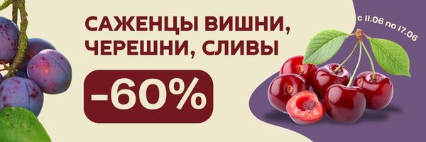 сливы, вишни, черешни