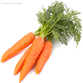 Семена моркови - Dolinasad.by
