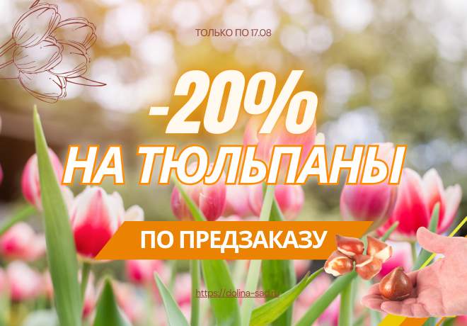 ВСЕ ТЮЛЬПАНЫ СО СКИДКОЙ 20%. ПРОДЛЕНА