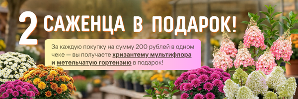 подарок