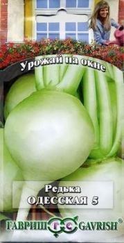 Редька Одесская 5  "Урожай на окне" фото