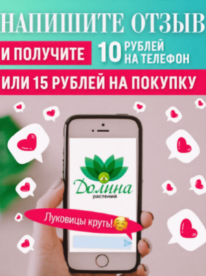 10 рублей за отзыв 10 рублей за отзыв