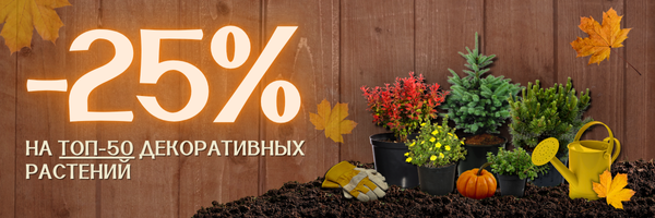 Акция на топ 50 декоративных Акция на топ 50 декоративных