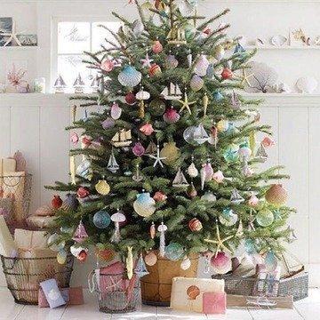 Где купить живую новогоднюю елку в Минске