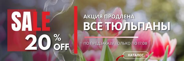 АКЦИЯ НА ТЮЛЬПАНЫ 20