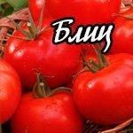 Гибридные сорта томатов - экспресс-обзор фаворитов
