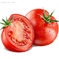Семена помидоров - Dolinasad.by