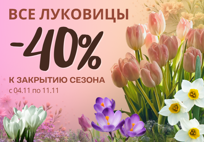-40% НА ВСЕ ЛУКОВИЦЫ К ЗАКРЫТИЮ СЕЗОНА. ЗАВЕРШЕНА