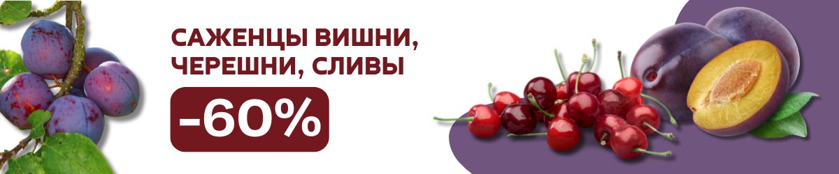 сливы, вишни, черешни