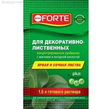 ЖКУ Красота д/декорат.листв.раст. 10мл - Dolinasad.by