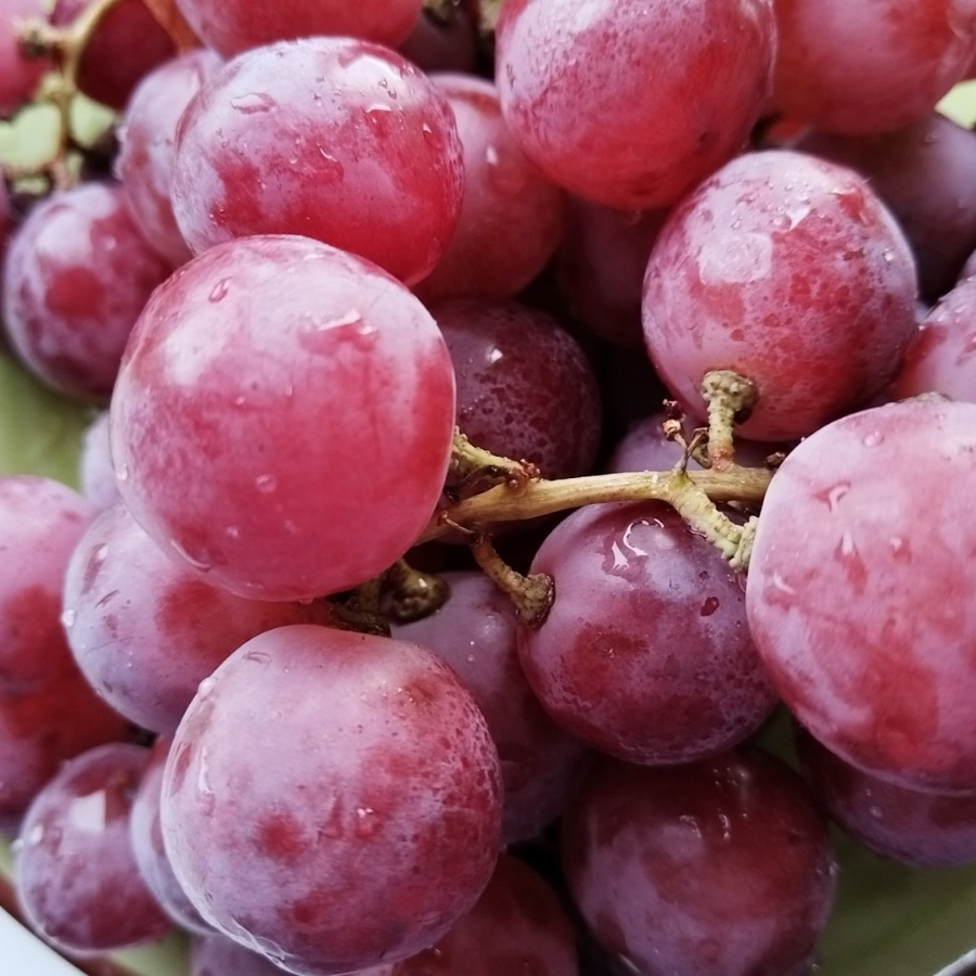 Виноград Ред Глоб - Dolinasad.by