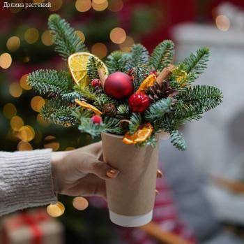 Композиция в стакане - Dolinasad.by