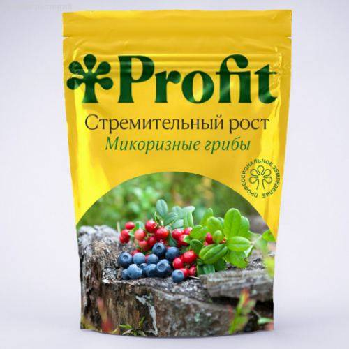 Стремительный рост Profit 1л - Dolinasad.by