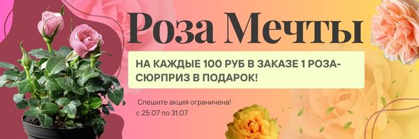 акция роза в подарок от 100 руб