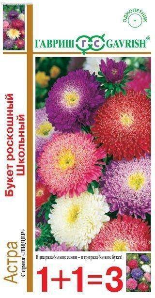 Астра Букет роскошный школьный, смесь 0,5 г серия 1+1 Н14 Астра Букет роскошный школьный, смесь 0,5 г серия 1+1 Н14 фото