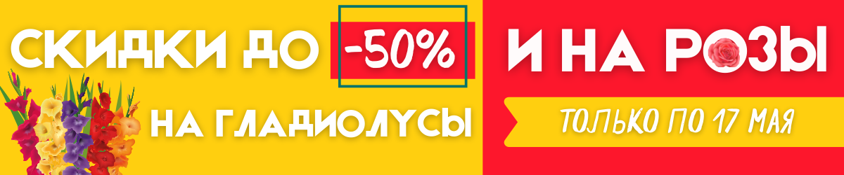 Сорта клубники в беларуси с фото и отзывы. 985253643c56be48e0247341ada764ad. Сорта клубники в беларуси с фото и отзывы фото. Сорта клубники в беларуси с фото и отзывы-985253643c56be48e0247341ada764ad. картинка Сорта клубники в беларуси с фото и отзывы. картинка 985253643c56be48e0247341ada764ad. Знакомимся с самыми вкусными сортами клубники. Выбираем место для посадки, мульчируем, удаляем усы, защищаем от вредителей. Секреты богатого урожая