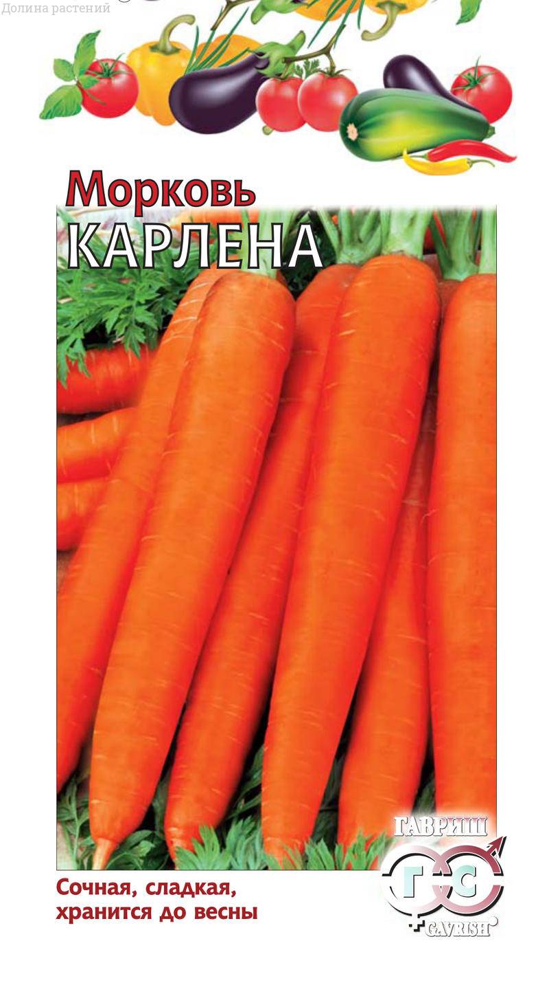 Морковь Карлена  2,0 г DH фото