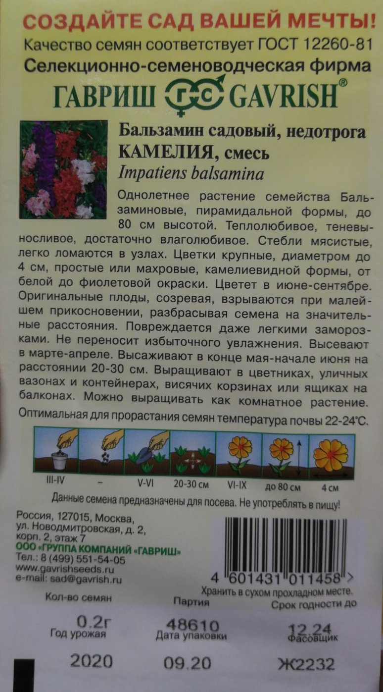Бальзамин садовый Камелия фото