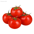 семена универсальных томатов - Dolinasad.by