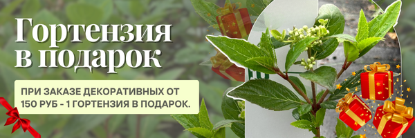 декоративные подарок 