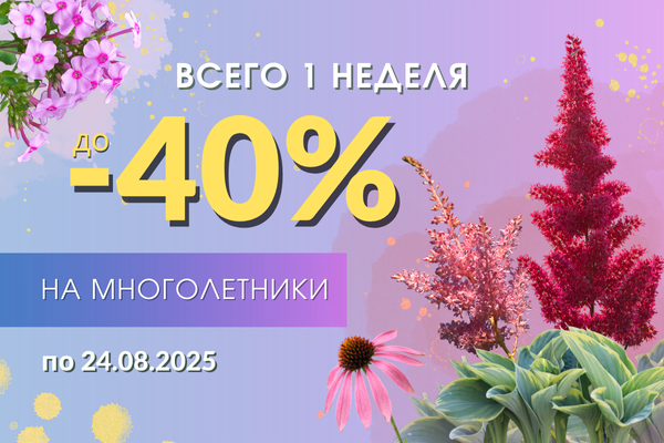 Все многолетники со скидкой до -40%. ЗАВЕРШЕНА