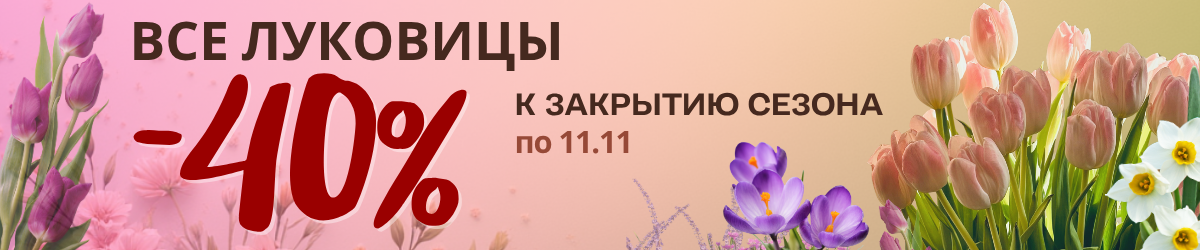 -40% НА ВСЕ ЛУКОВИЦЫ К ЗАВЕРШЕНИЮ СЕЗОНА. -40% НА ВСЕ ЛУКОВИЦЫ К ЗАВЕРШЕНИЮ СЕЗОНА.