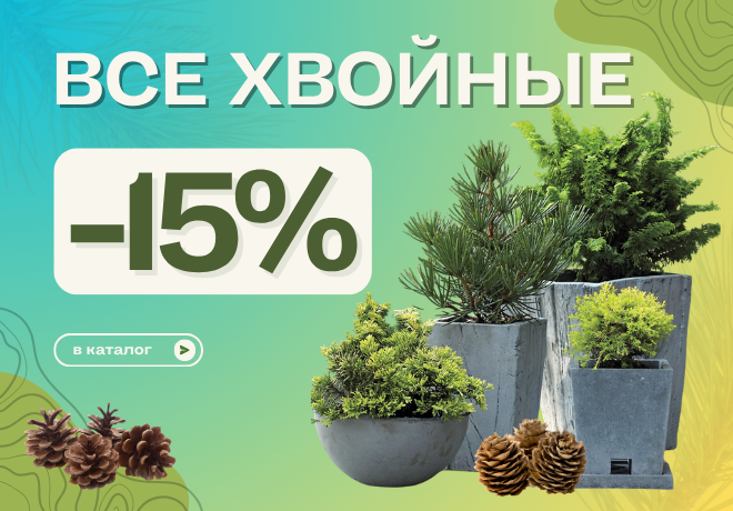 ВСЕ ХВОЙНЫ -15%. УСПЕЙТЕ ЗАБРАТЬ ПО СКИДКЕ. ЗАВЕРШЕНА