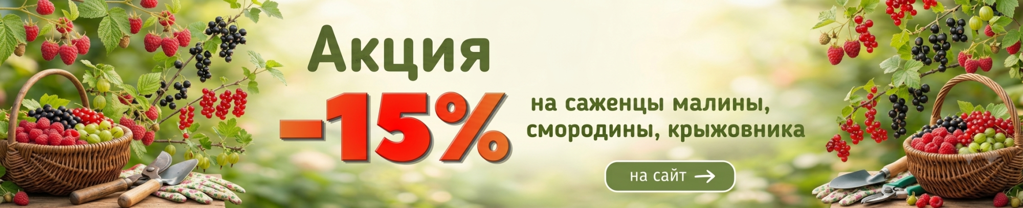 плодовые кустарники предзаказ