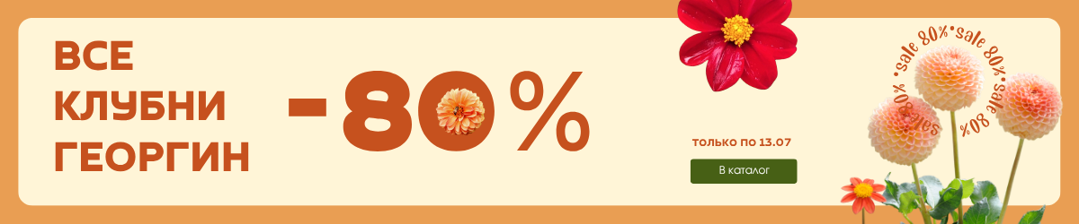 Георгины -80%