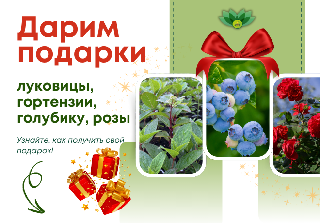 ДАРИМ ПОДАРКИ ЗА ПОКУПКУ В КАЖДОЙ КАТЕГОРИИ!