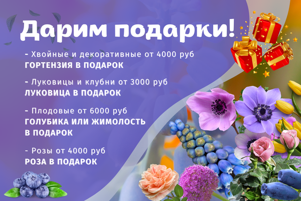 ДАРИМ ПОДАРКИ ЗА ПОКУПКУ В КАЖДОЙ КАТЕГОРИИ !