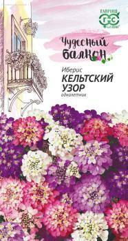 Иберис Кельтский узор "Чудесный балкон" фото