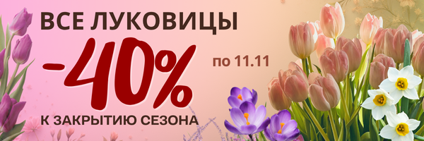 -40% НА ВСЕ ЛУКОВИЦЫ К ЗАВЕРШЕНИЮ СЕЗОНА. -40% НА ВСЕ ЛУКОВИЦЫ К ЗАВЕРШЕНИЮ СЕЗОНА.