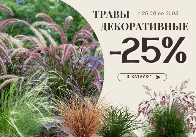 -25% на декоративные травы.