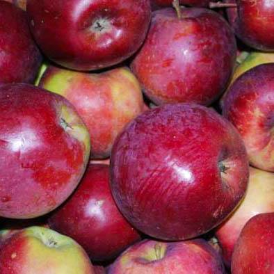  Несколько приемов, которые позволят вашим яблочкам храниться дольше