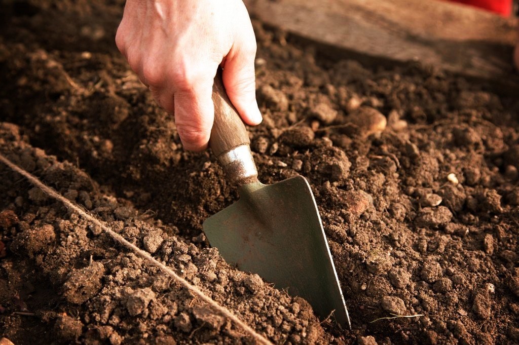 Почва для выращивания арбузов и дынь.jpg