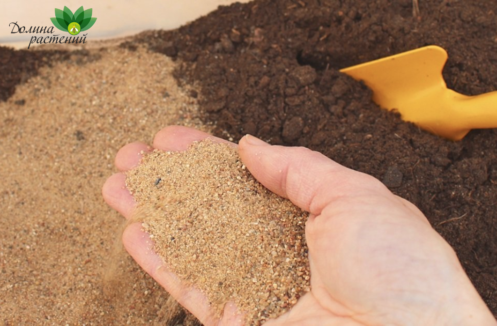 Как улучшить качество почвы на участке
