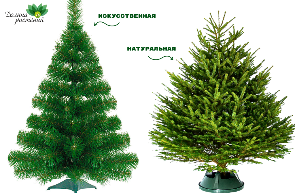 Какая елка лучше - искусственная или натуральная?