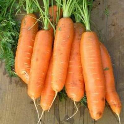 Морковь Бейби, 2 гр ЦП фото