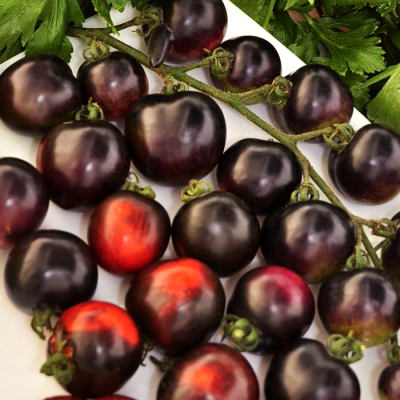 Томат Черная гроздь F1 фото