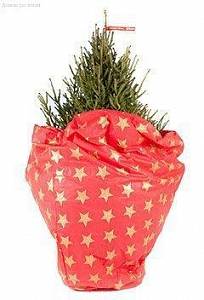 Чехол-коврик для новогодней елки фото