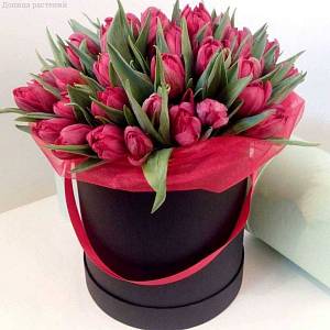 Букет из 39 тюльпанов красных в коробке - Dolinasad.by