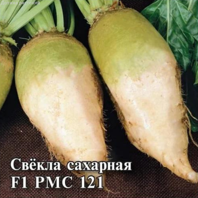 Свекла Сахарная F1 РМС 121 ХИТ х3 - Dolinasad.by