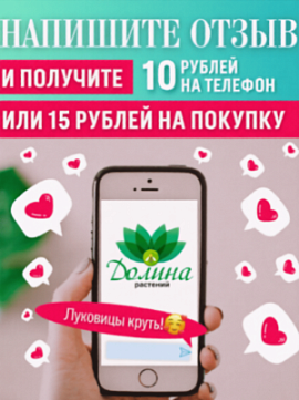10 рублей за отзыв