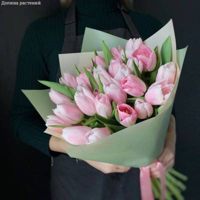 Букет из 19 розовых тюльпанов в упаковке - Dolinasad.by