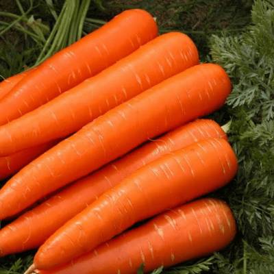 Морковь (Драже) Ромоса фото