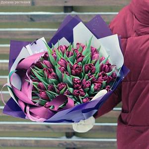 Букет из 39 розовых тюльпанов в упаковке - Dolinasad.by