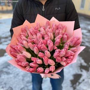 Букет из 79 розовых тюльпанов в упаковке - Dolinasad.by